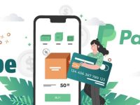 仿牌收款历史简述