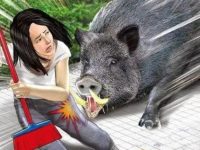 暴富之后，梦到被猪咬了脚