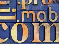 仿牌独立站,建站源码和服务器真的那么重要吗?