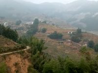 GOD蜕变记:创业艰难百战多(二)