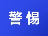 仿牌行业跨境割韭菜基地与品牌出海伪专家马甲域名