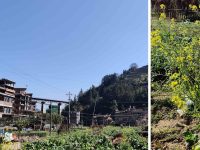 无业游民的GOD哥和他的大厂精英朋友们