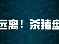 揭秘以红人KOL为噱头的包出单跨境杀猪盘