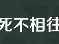 跨境电商女强人刘小环之合伙殇痛记
