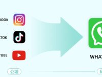 仿牌外贸独立站生意想靠一招吃遍天下?得了吧......