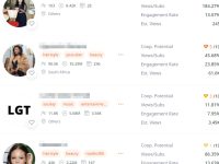 仿牌独立站Youtube网红怎么快速建联？