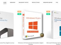 独立站WINDOWS操作系统虚拟品类目之仿牌建站