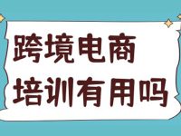 仿牌跨境电商独立站,单纯培训和教程,没啥卵用
