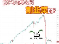 跨境电商人聊聊最近A股的事