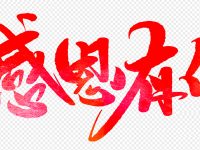公众号一周年,感恩有你,一路相伴,一路生花