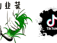 围观花和尚的吃瓜群众,让我想起了不明真相的跨境电商TK韭菜人。