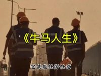 在仿牌跨境电商这个行业，我看到了牛马的百态人生。